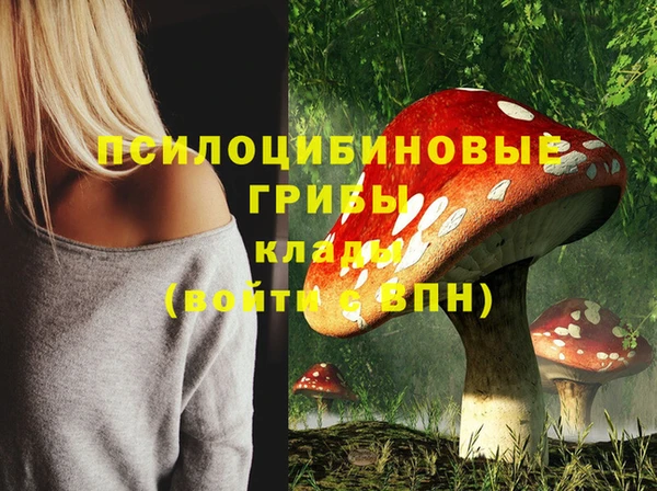 прущие грибы Гусь-Хрустальный