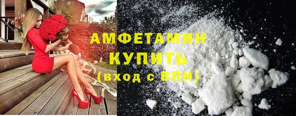 прущие грибы Гусь-Хрустальный