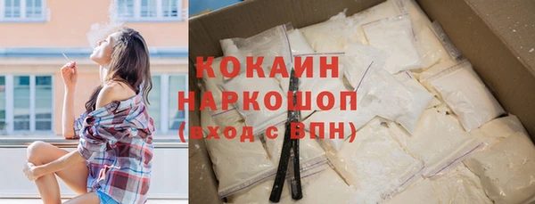прущие грибы Гусь-Хрустальный
