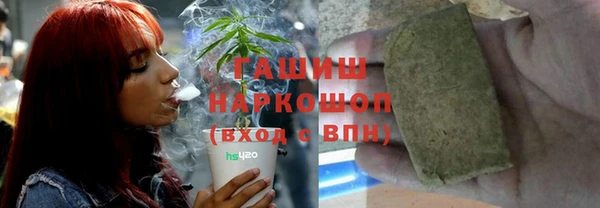 прущие грибы Гусь-Хрустальный