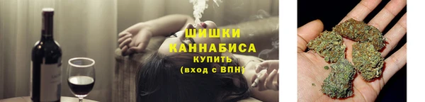 прущие грибы Гусь-Хрустальный