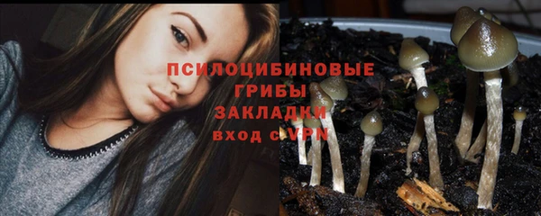 мдма Гусев